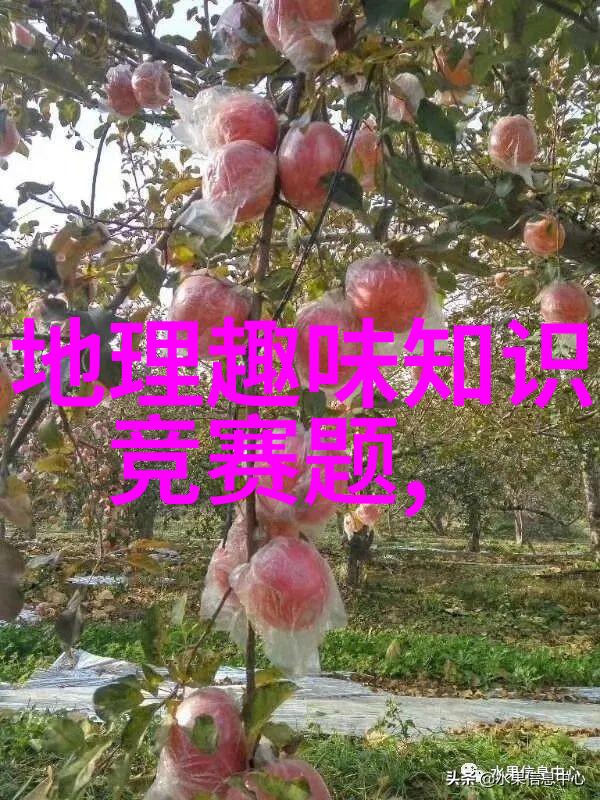 知乐博物大讲堂第十期活动通知